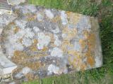 image of grave number 845119